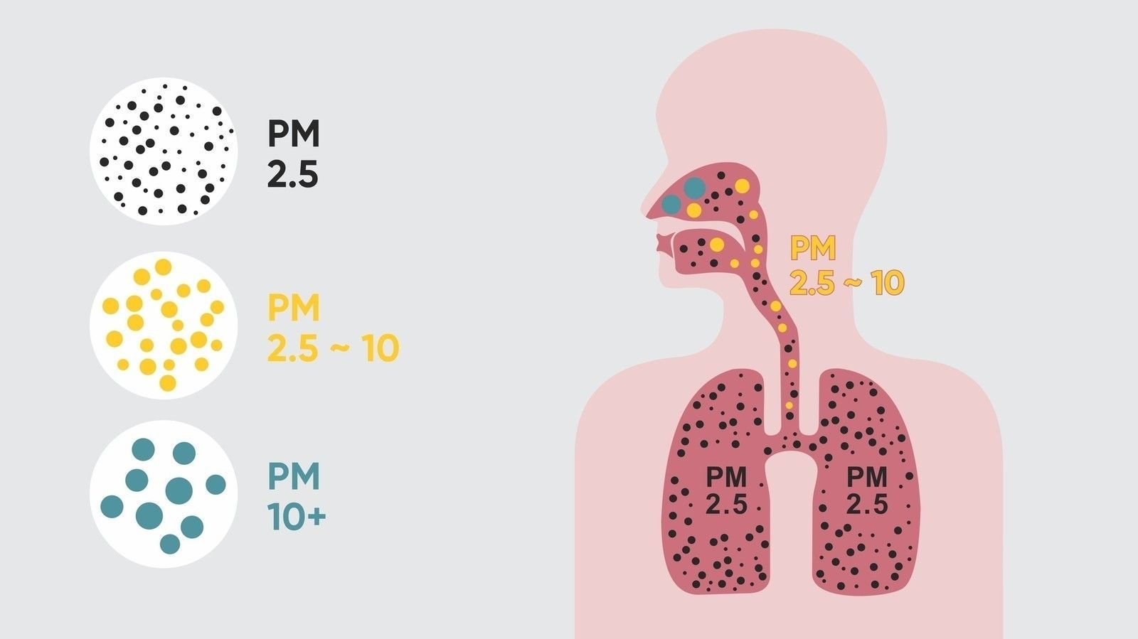 Air Pollution Index PM 2.5 in Ulaanbaatar-1