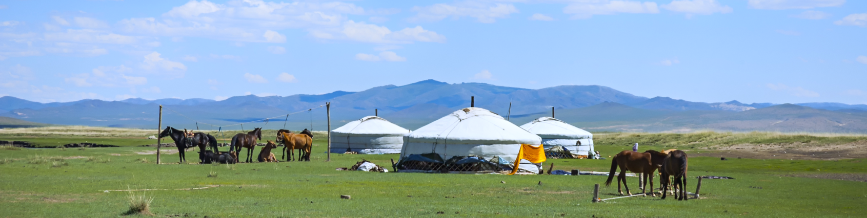 mongolia nature nomad countryside